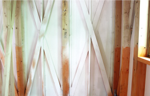 壁の中はいつも健康体