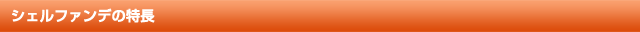 シェルファンデの特徴